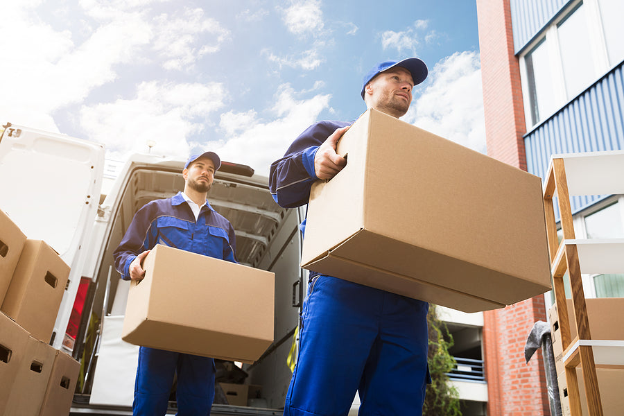 custom cardboard boxes - Two-Young-Delivery-Men-Carrying-Cardboard-Box-In-Front-Of-Truck
