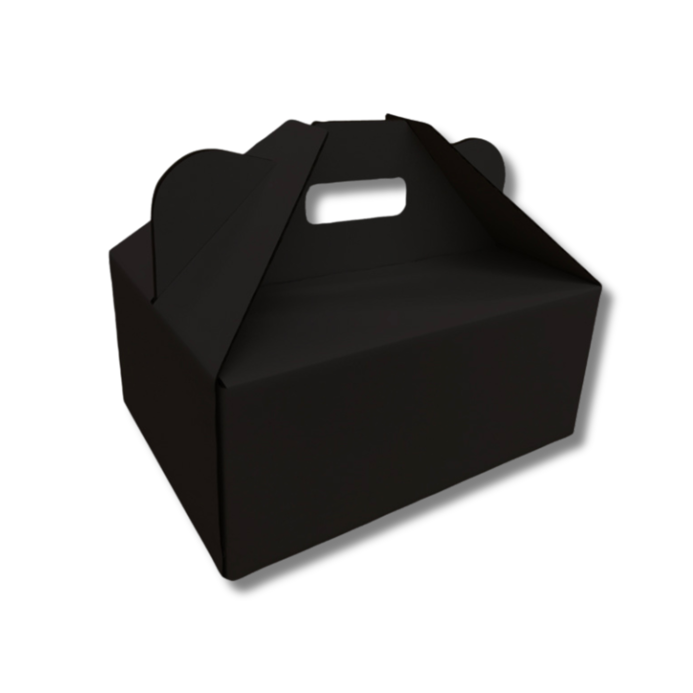 305 x 230 x 130mm Picnic/Gable Box