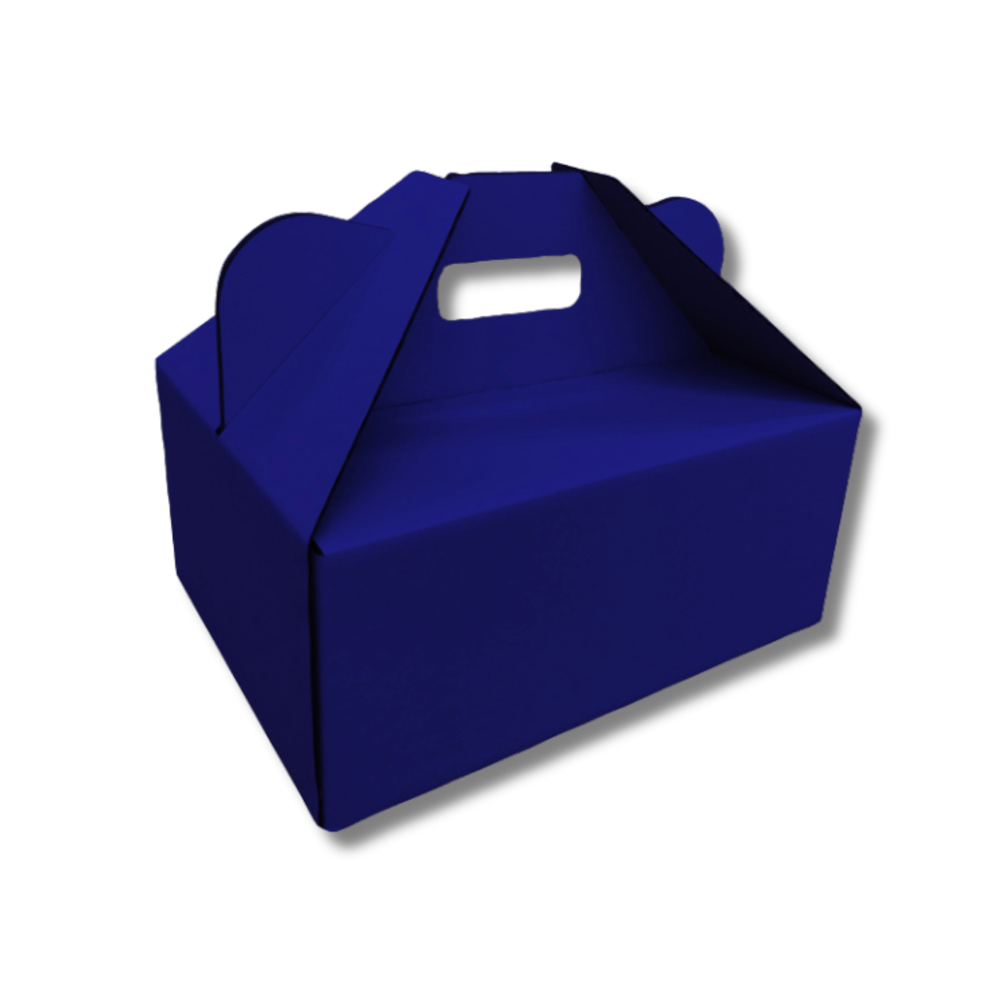 305 x 230 x 130mm Picnic/Gable Box