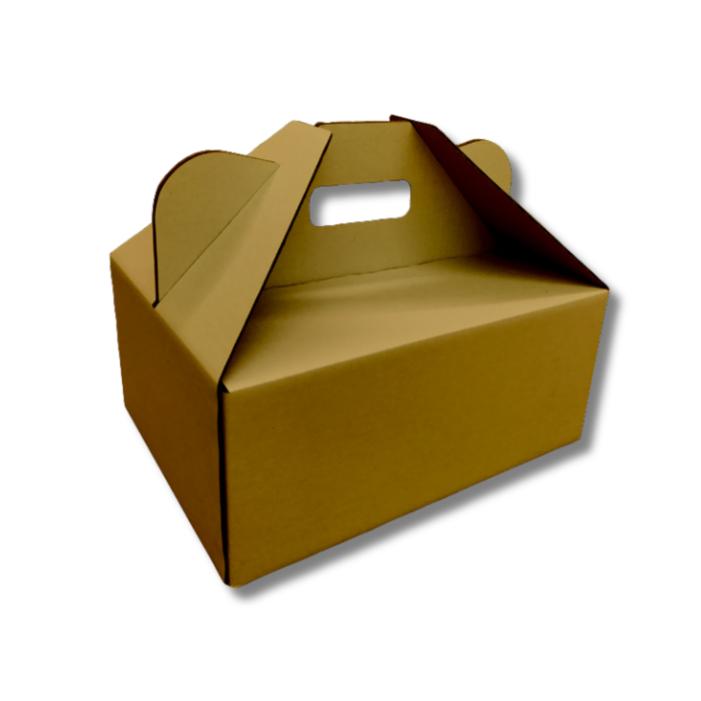 305 x 230 x 130mm Picnic/Gable Box