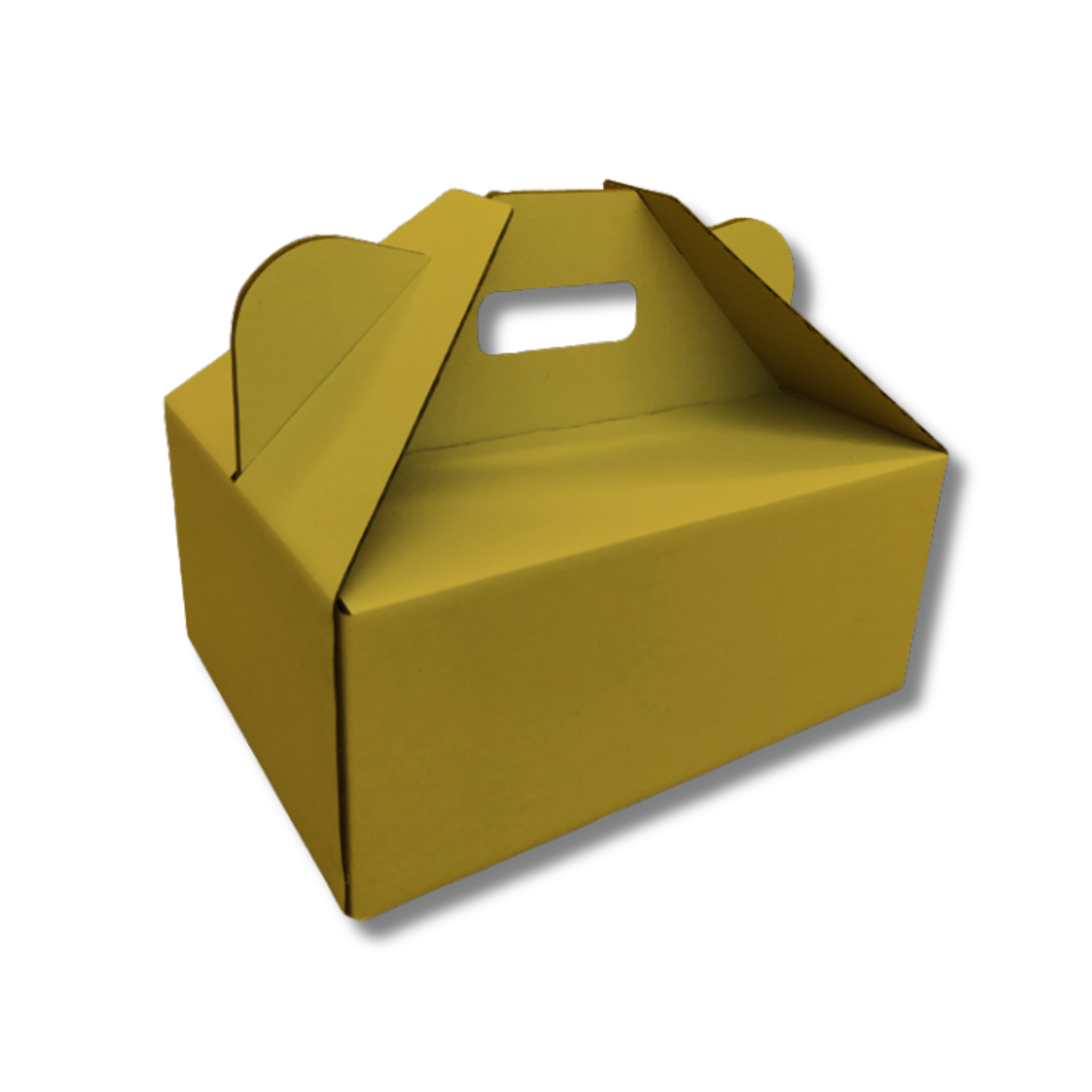 305 x 230 x 130mm Picnic/Gable Box