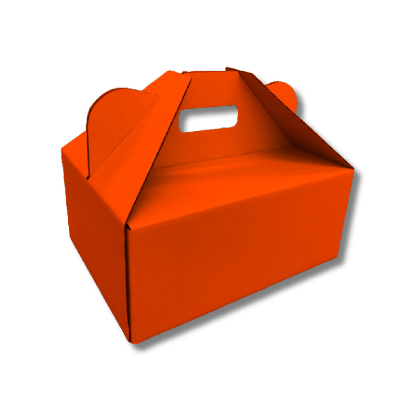 305 x 230 x 130mm Picnic/Gable Box