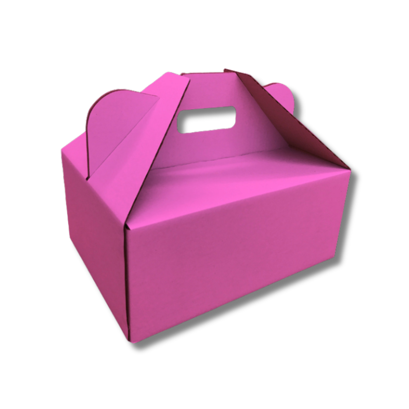 305 x 230 x 130mm Picnic/Gable Box