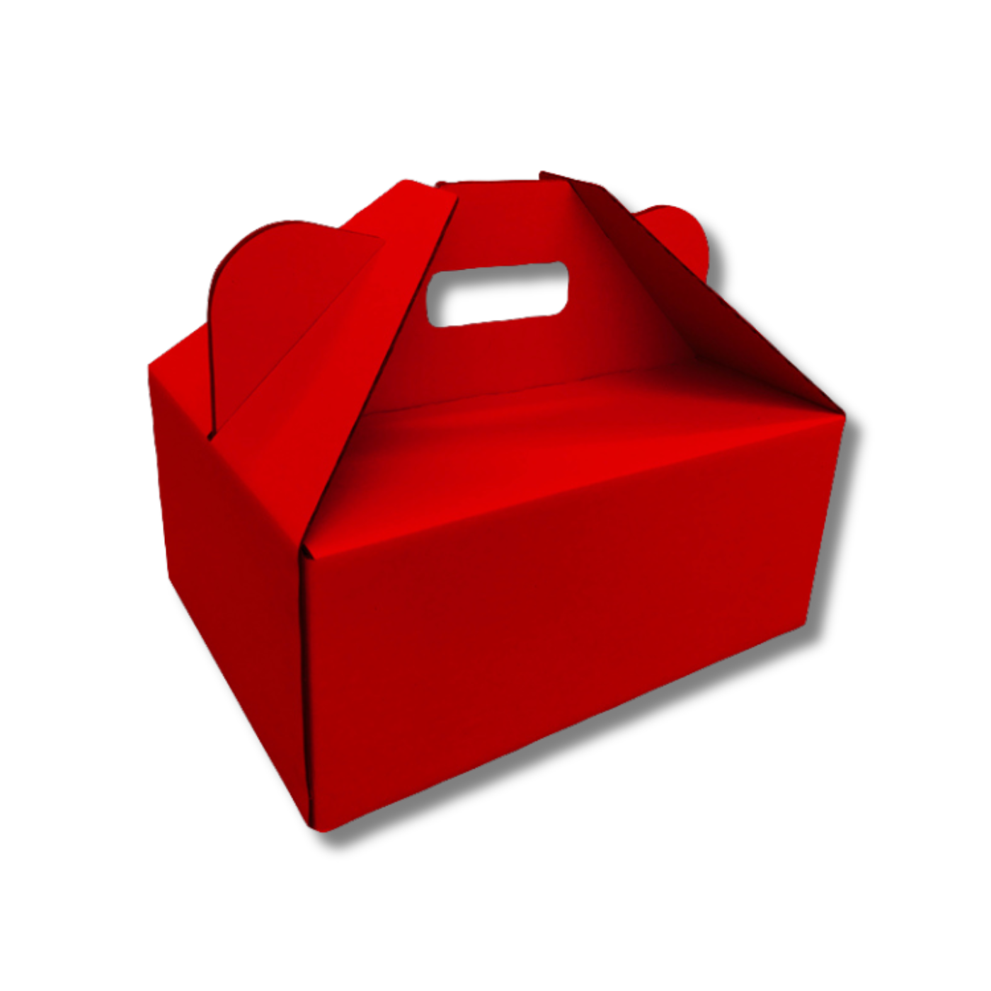 305 x 230 x 130mm Picnic/Gable Box