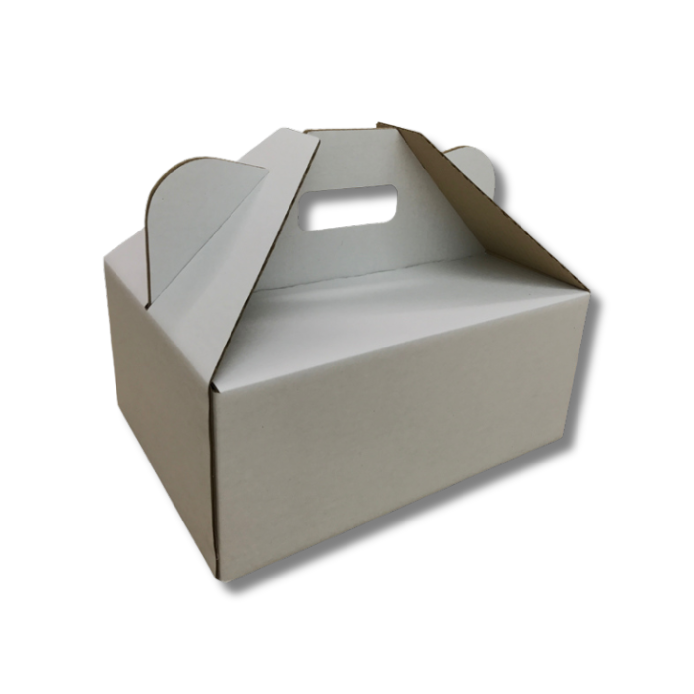 305 x 230 x 130mm Picnic/Gable Box