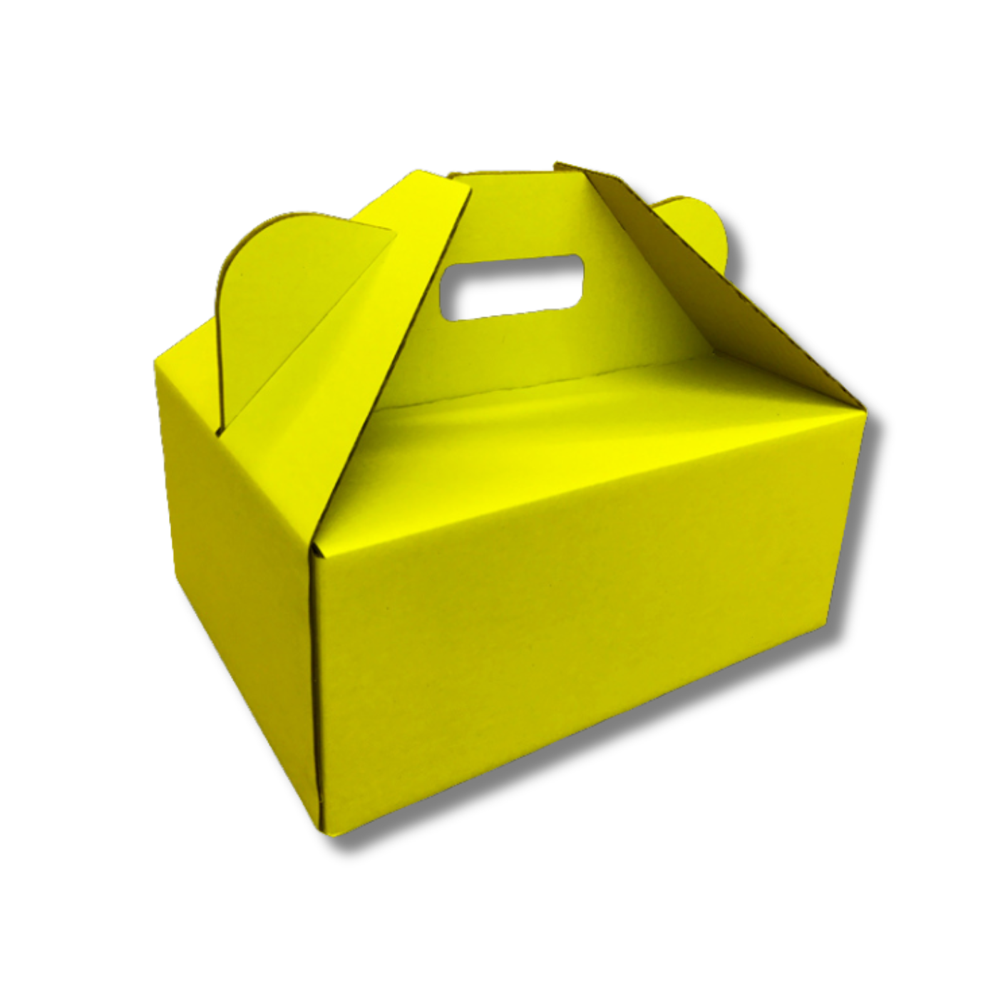 305 x 230 x 130mm Picnic/Gable Box