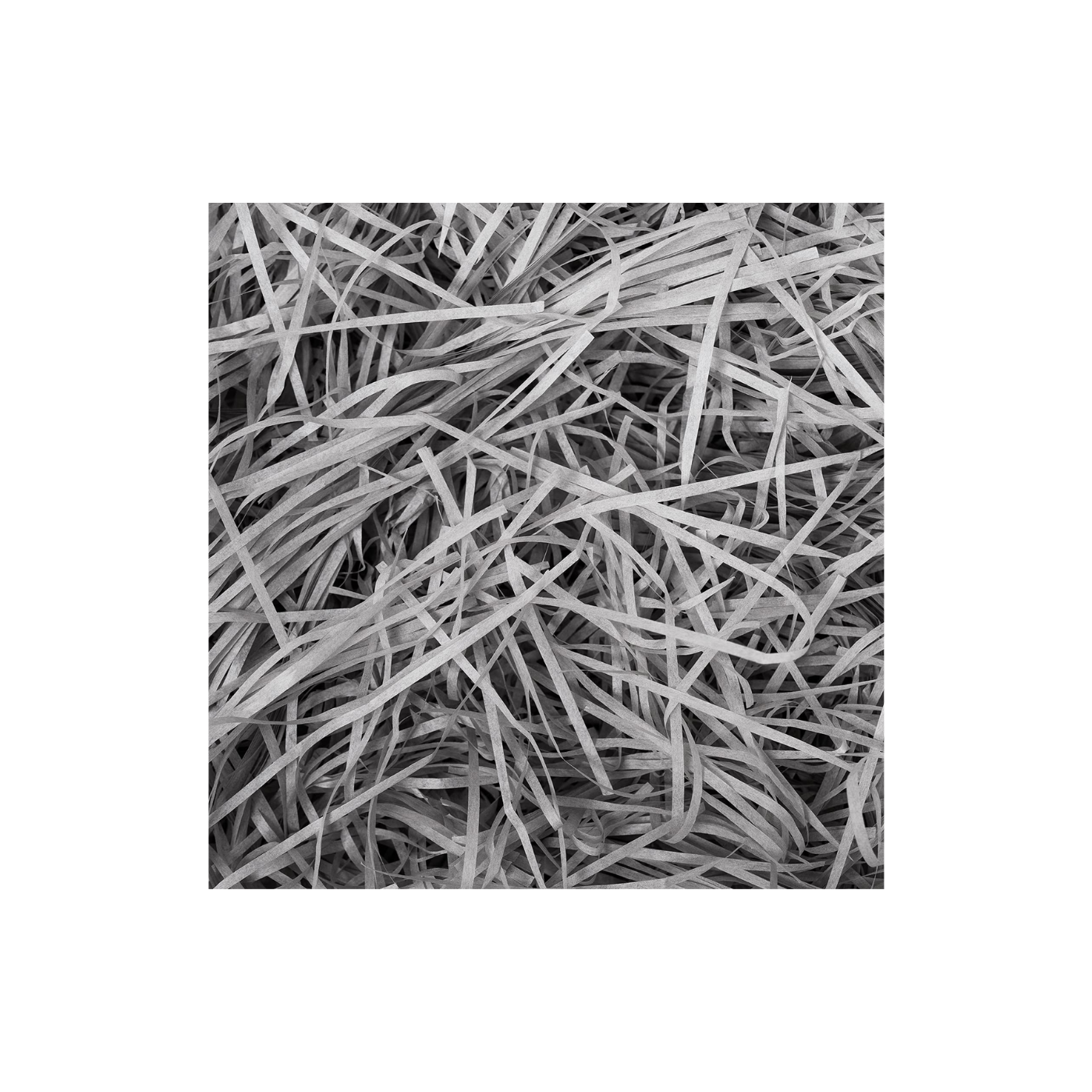 Coloured Shredded Tissue Paper