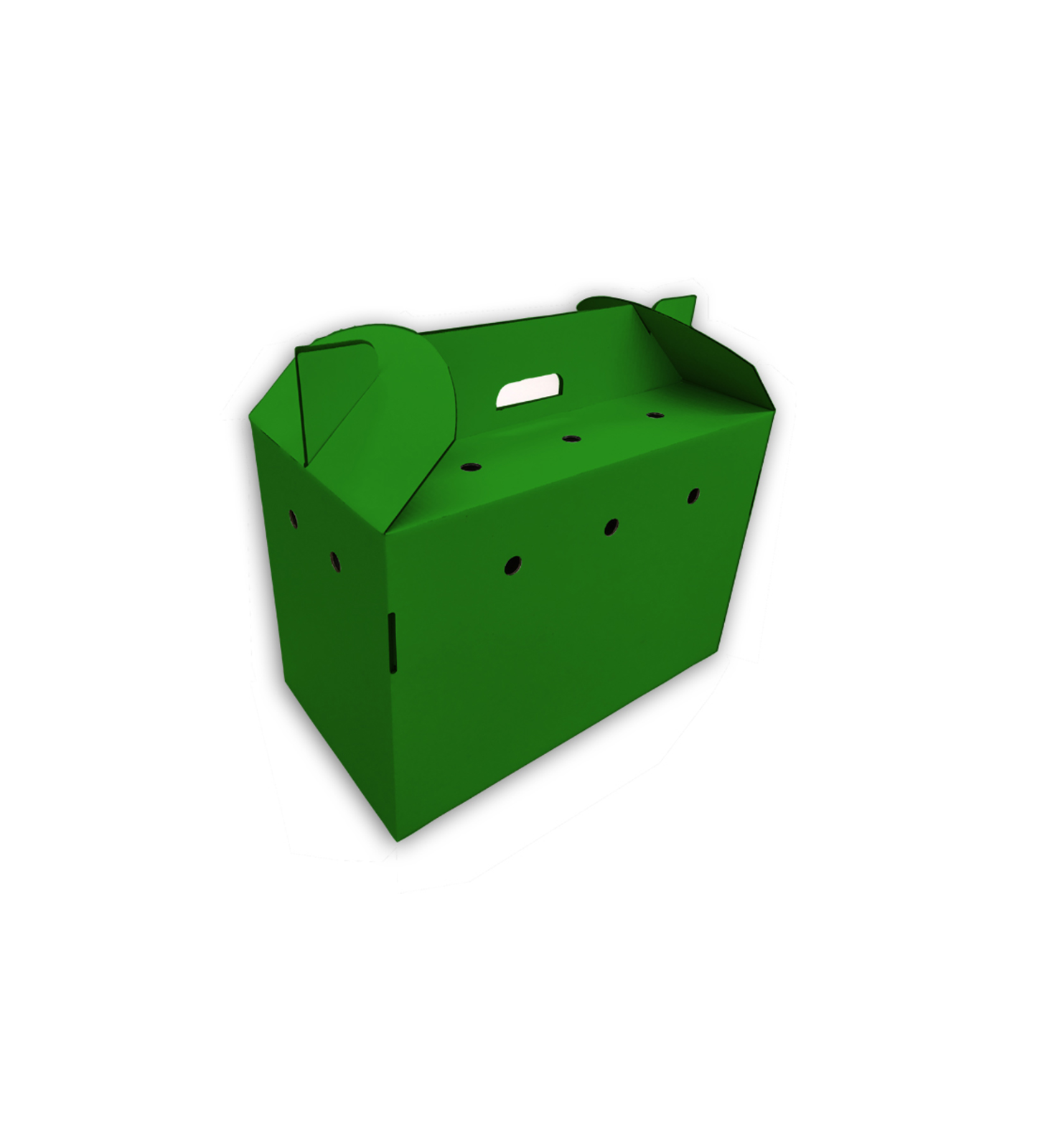 Dark Green pet carrier