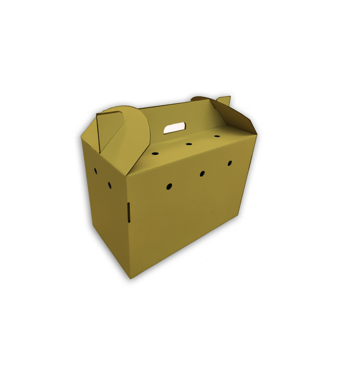 Gold pet carrier