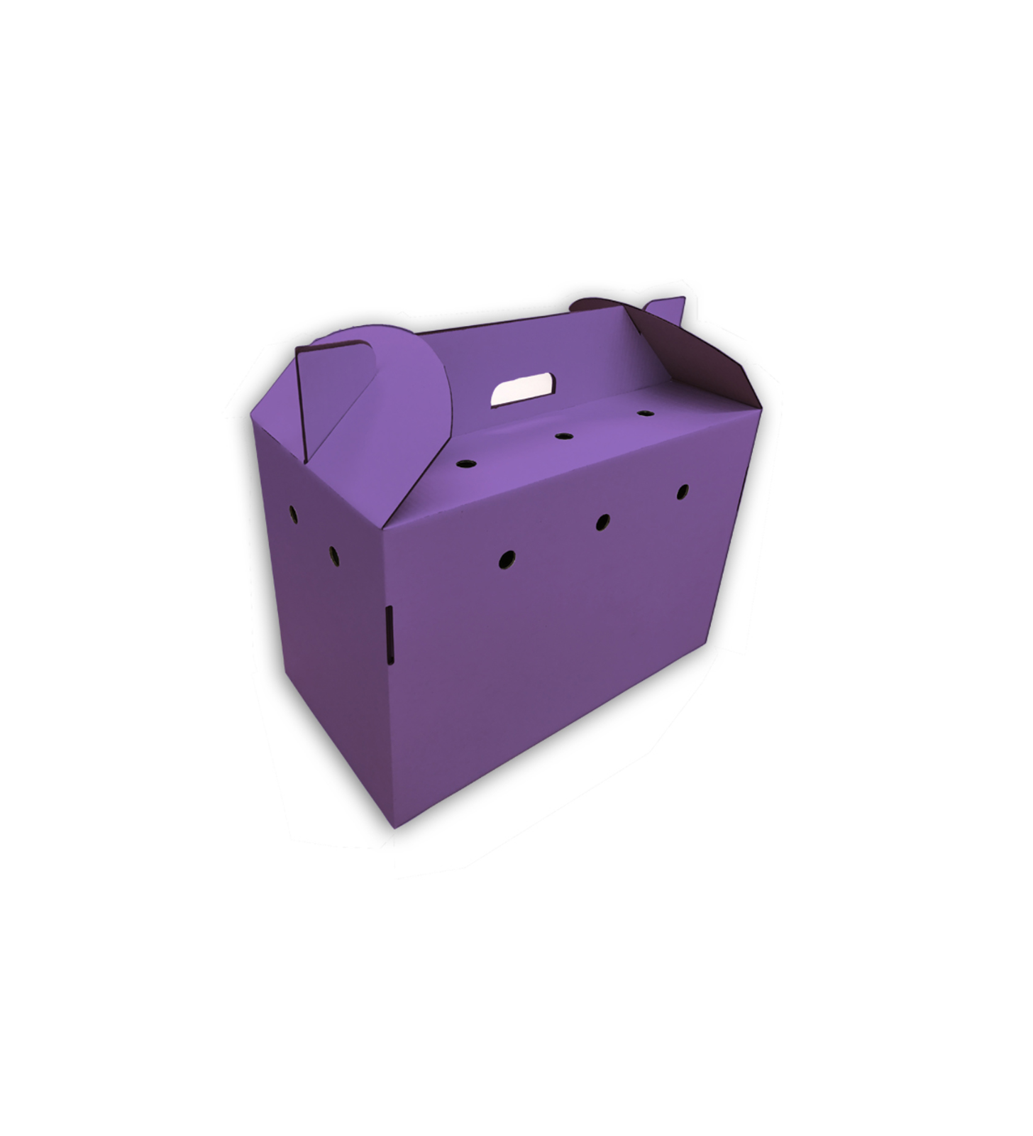 Purple pet carrier