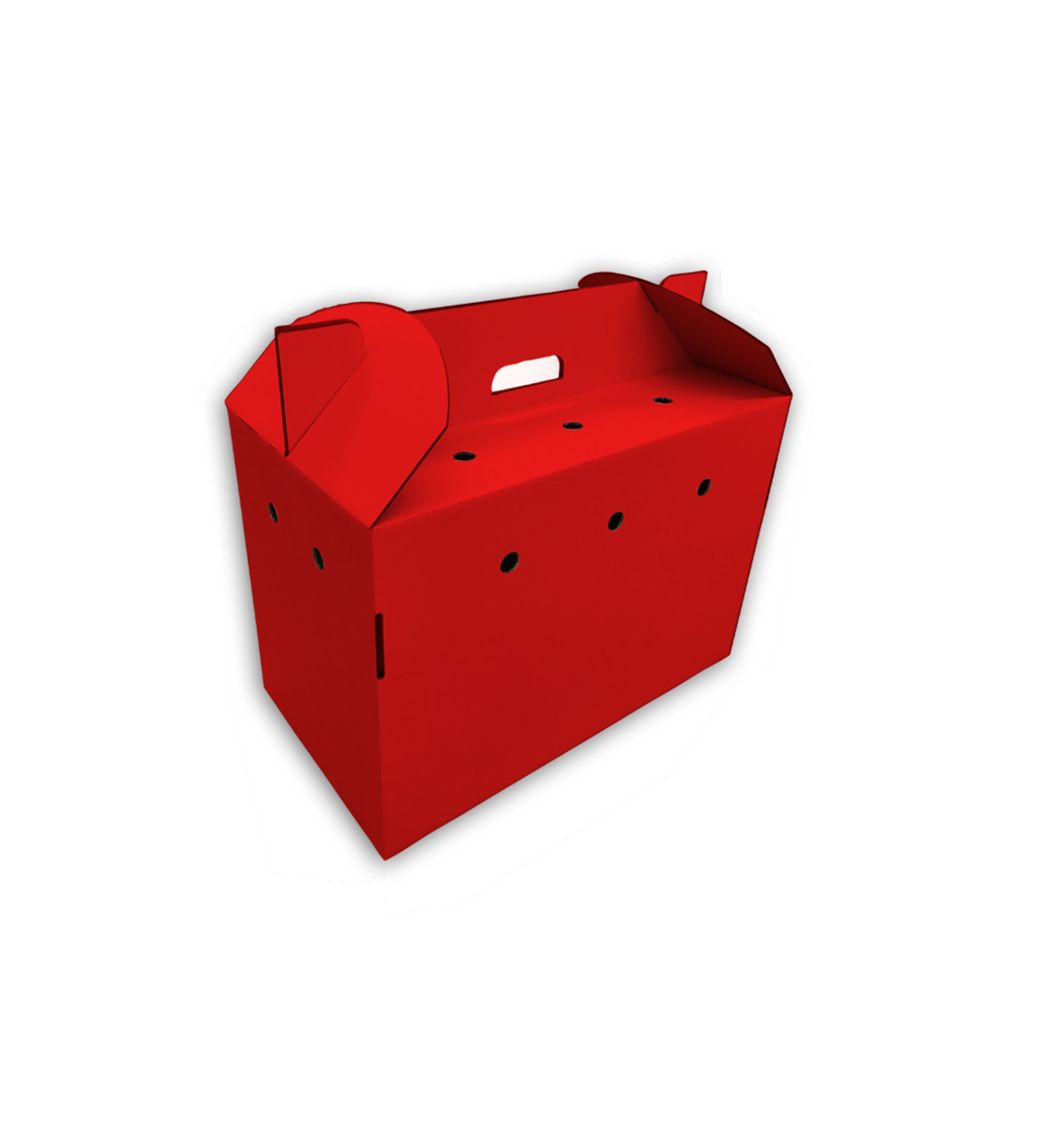 Red pet carrier
