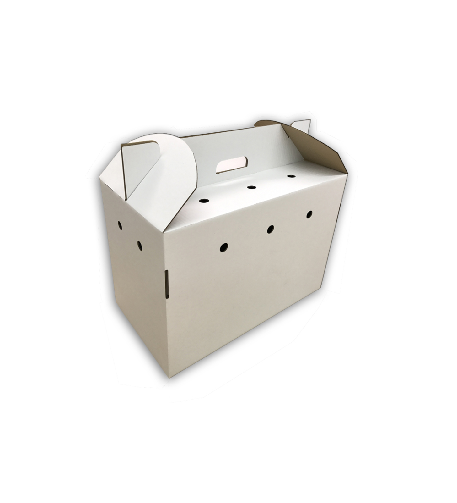 White pet carrier