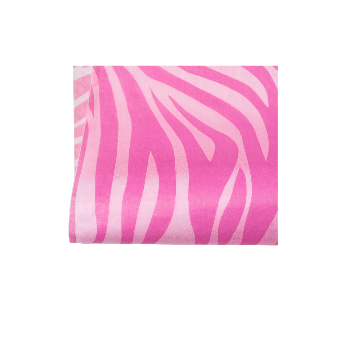 Zebra Cerise on Pink Tissue Paper